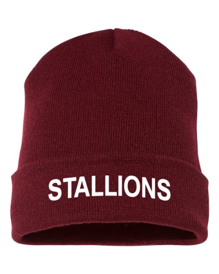 Stallions Embroidered Maroon Beanie