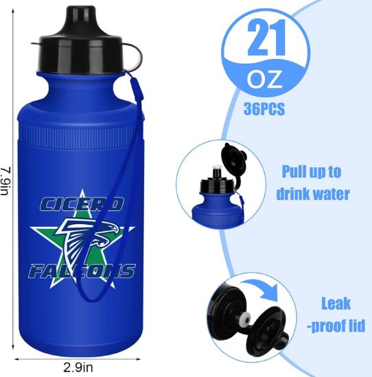 Falcons Blue Sports Bottle
