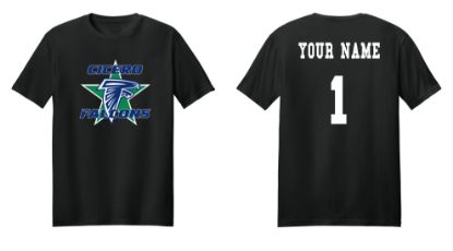 Personalized Falcons Softstyle T-shirt