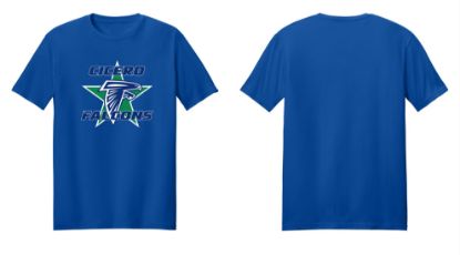 Falcons Softstyle T-shirt